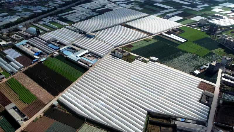 建设下回村基地